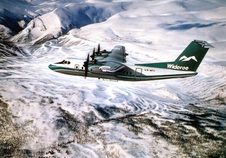 Enlarge photo 58
