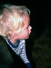 Enlarge photo 25