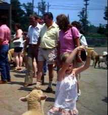 Enlarge photo 198