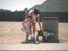 Enlarge photo 199