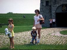 Enlarge photo 204