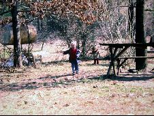 Enlarge photo 40