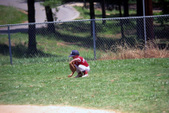 Enlarge photo 135