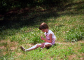 Enlarge photo 134
