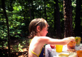 Enlarge photo 199