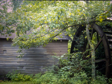 Enlarge photo 51