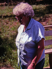 Enlarge photo 35