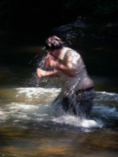 Enlarge photo 51