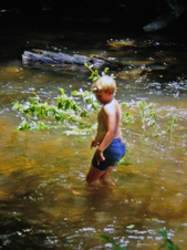 Enlarge photo 54