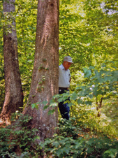 Enlarge photo 59