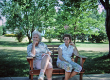 Enlarge photo 157