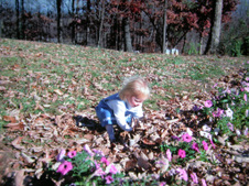 Enlarge photo 237