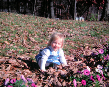 Enlarge photo 241