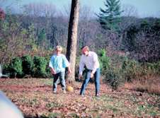 Enlarge photo 242
