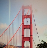 Enlarge photo 115