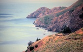 Enlarge photo 122