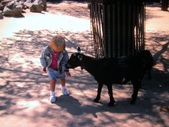 Enlarge photo 146