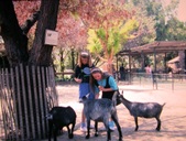 Enlarge photo 149