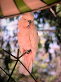 Enlarge photo 154
