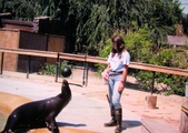 Enlarge photo 163