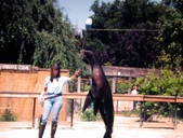 Enlarge photo 165