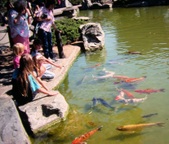 Enlarge photo 187