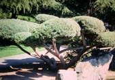 Enlarge photo 188