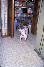 Enlarge photo 26