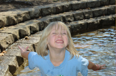 Enlarge photo 28