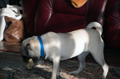 Enlarge photo 14