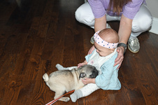 Enlarge photo 7