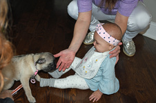 Enlarge photo 9