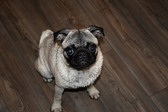 Enlarge photo 19