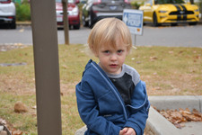 Enlarge photo 28