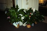 Enlarge photo 3