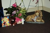 Enlarge photo 4