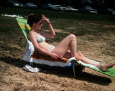 Enlarge photo 239