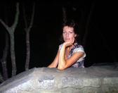 Enlarge photo 342