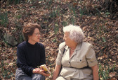 Enlarge photo 539