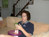 Enlarge photo 566