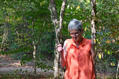 Enlarge photo 1449