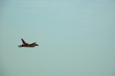 Enlarge photo 30