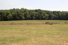 Enlarge photo 58