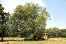 Enlarge photo 60