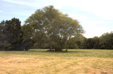 Enlarge photo 12