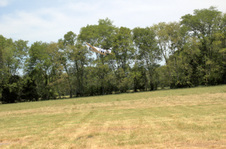 Enlarge photo 43