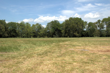 Enlarge photo 51