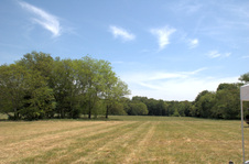 Enlarge photo 53