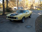 Mustang