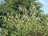 Enlarge photo 3